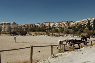 Scenic view of desert against clear sky