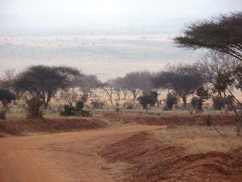 Dirt road passing through field