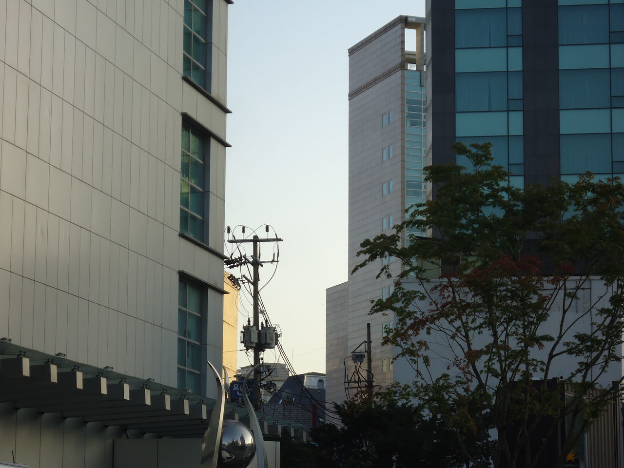 LOW ANGLE VIEW OF TREES AND BUILDINGS AGAINST CLEAR SKY