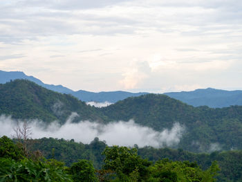 environment
