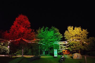 Illuminated trees against clear sky at night