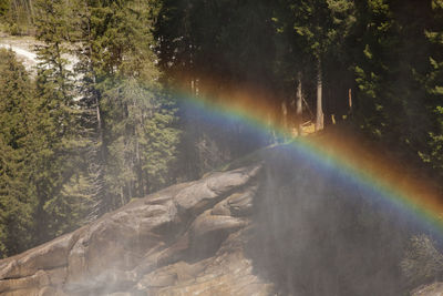 Road passing through forest