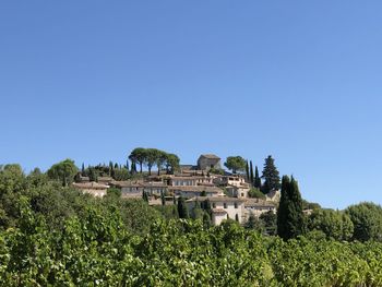 Plants and buildings against clear blue sky