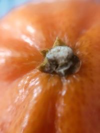 Full frame shot of orange