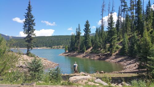 Scenic view of river surrounded by trees