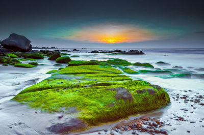 Scenic view of sea against sky during sunset