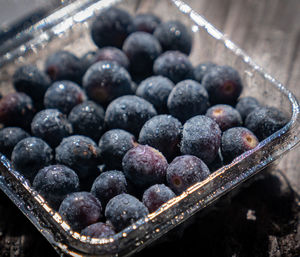 High angle view of blackberries in container