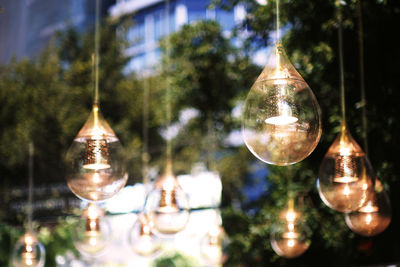 Close-up of illuminated light bulbs hanging on tree