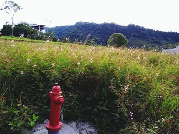 Full length of fire hydrant on field against sky
