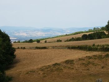 Scenic view of field against clear sky