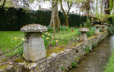 View of cemetery against trees