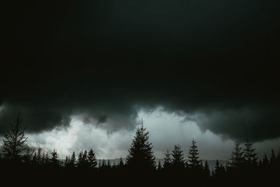 Low angle view of silhouette trees against sky at night