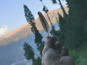 Close-up of hand holding feather against sky