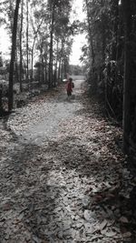 Man amidst trees against sky