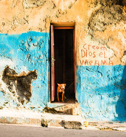 Open door on brick wall