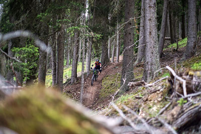 People riding trees in forest