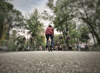 Rear view of man with woman standing against trees