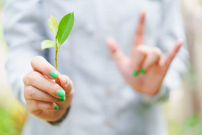 Close-up of hand holding plant