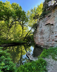 Scenic view of river amidst trees against sky