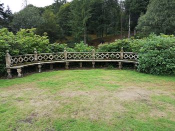 Bridge in forest