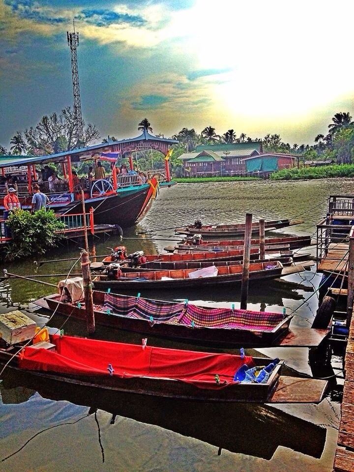 nautical vessel, moored, transportation, mode of transport, sky, boat, harbor, outdoors, large group of objects, sunlight, built structure, in a row, day, wood - material, no people, tree, high angle view, abundance, nature, construction site