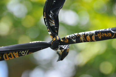 Close-up of chain hanging on metal