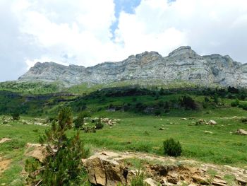 Scenic view of landscape against sky