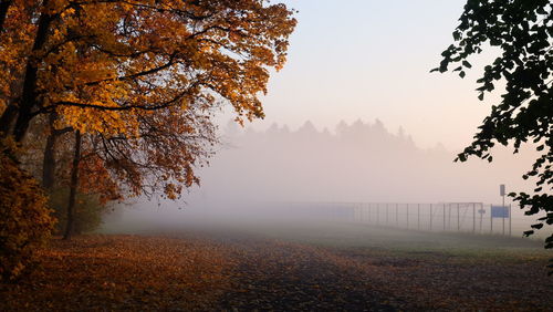 Trees and plants during autumn against sky