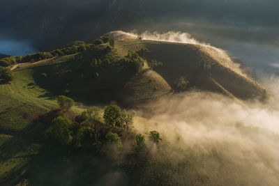 High angle view of trees on land against sky