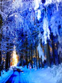 Snow covered landscape