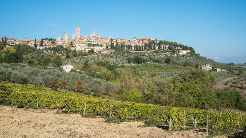 Panoramic view of trees and buildings against sky