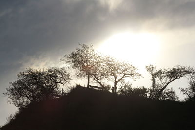 Low angle view of silhouette trees against sky