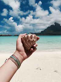 Cropped hand holding seashell at beach against cloudy sky