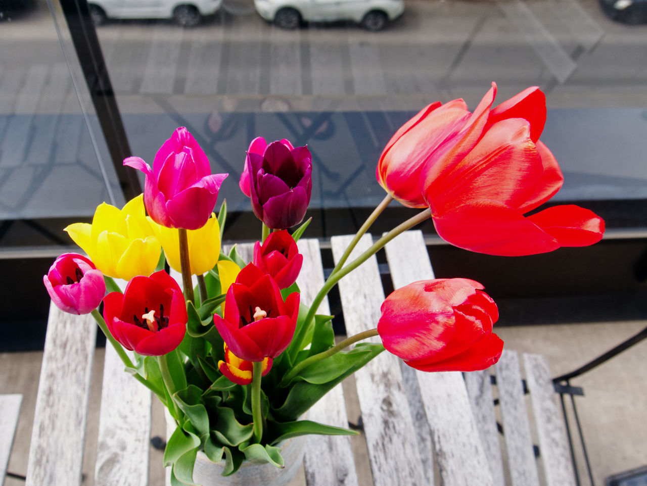 CLOSE-UP OF RED TULIPS IN FLOWER POT