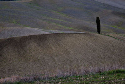 High angle view of field