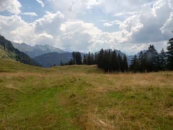 Scenic view of field against sky