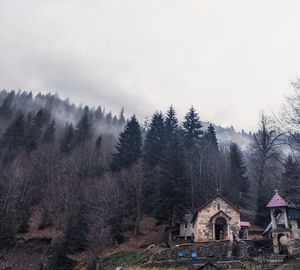 House amidst trees and buildings against sky