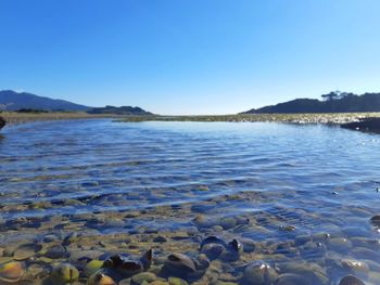 Scenic view of lake against clear blue sky