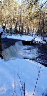 Scenic view of frozen river by trees during winter