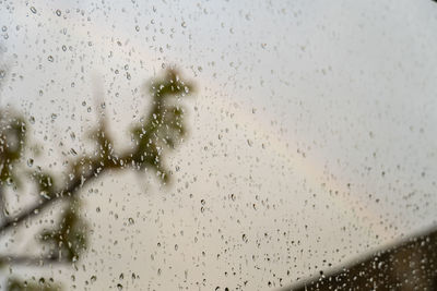 Rainbow through a window, drops on the window pane, tree branch behind, mexico