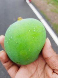 Close-up of hand holding apple