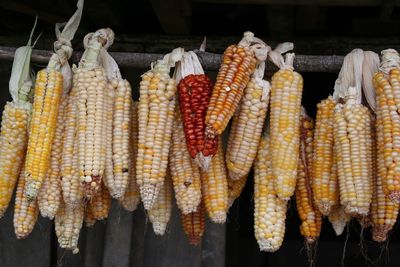 Close-up of food for sale