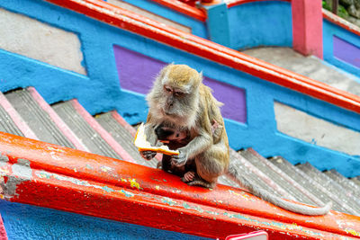 Man eating outdoors