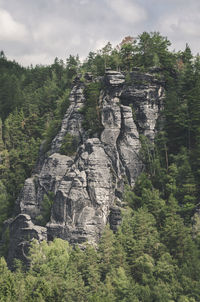 Rock formations in forest against sky