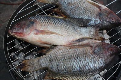 Directly above shot of fish on barbeque