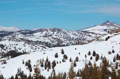 Scenic view of snow-covered landscape against sky