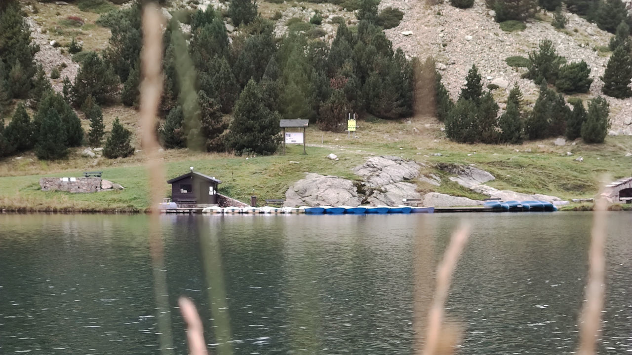 SCENIC VIEW OF LAKE WITH TREES IN FOREST