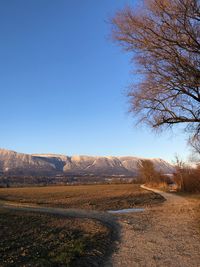 Scenic view of landscape against clear blue sky