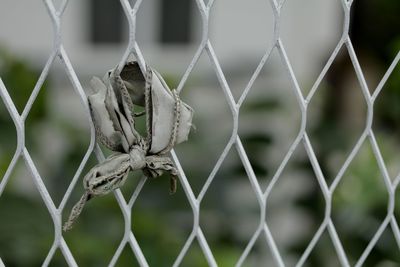 Close-up of fabric tied to chainlink fence