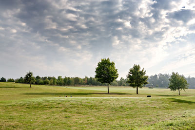 Trees on field against sky